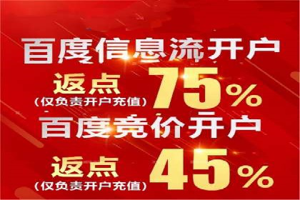 揭秘百度竞价广告：实战案例分析及优化策略